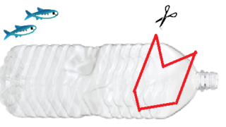 手軽に簡単、ペットボトルでおさかなゲット！